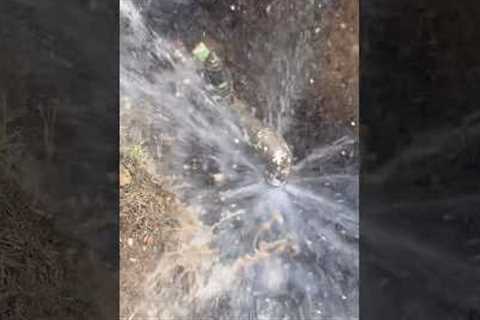 Yard Line Water Leak Repair