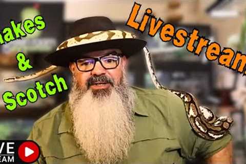 October Snakes &amp; Scotch (Spooky) Livestream!
