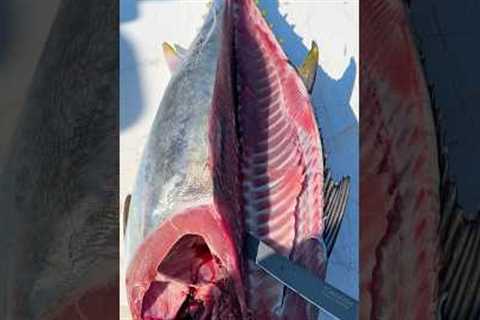 Stop WASTING Your Bluefin Tuna! #shorts #fishing