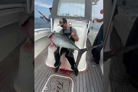 Yellowfin tuna lap shot 😂 #yellowfintuna #fishing #tuna