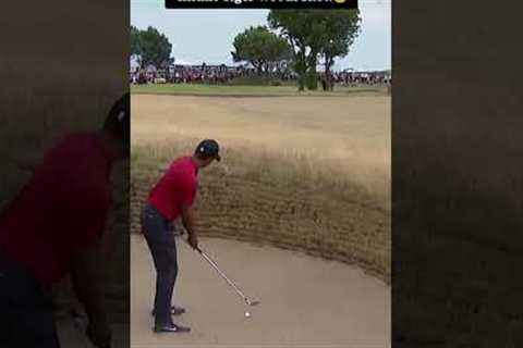 Tiger Woods insane shot #tigerslam #tigerwoods #hansworldtv #golf #golfer