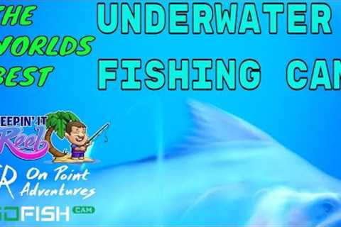 GOFISH CAM underwater video camera REVIEW