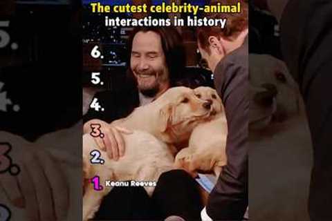 The cutest celebrity-animal interactions in history. #KeanuReeves #ChrisEvans #JackieChan #Zendaya