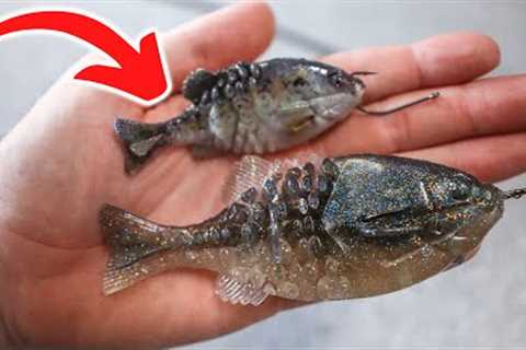 DON’T Fish the Gilly BEFORE you Watch this