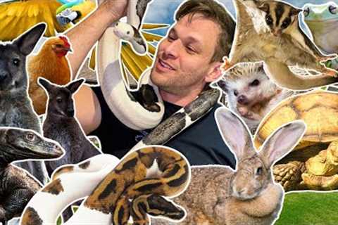 Feeding 100+ Exotic Pets: My INSANE Daily Routine