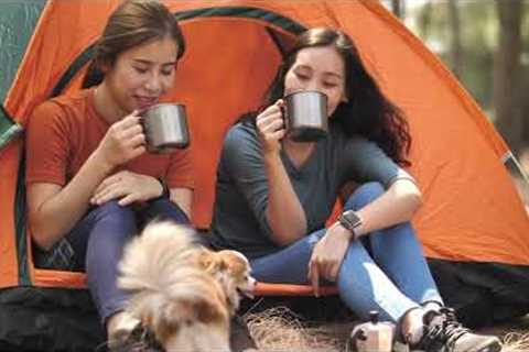 Top 10 Relaxing Hobbies for Women That Spark Joy