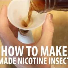 Homemade Insect Spray: How To Make Nicotine Insecticide!