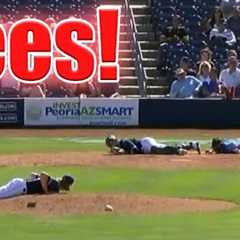 Craziest Animal Interference Moments in Sports #5