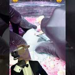 What Did I Find Inside This Mystery Ball?