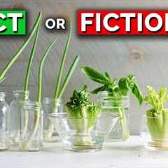 The TRUTH About Regrowing Veggies From Kitchen Scraps