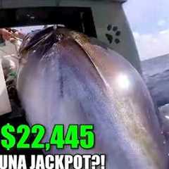 $22,445 Tuna Jackpotl! Captain Britton Lands 3 Giants in One Epic Trip!
