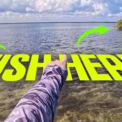 Fishing a New Spot? Here’s EXACTLY Where to Start!