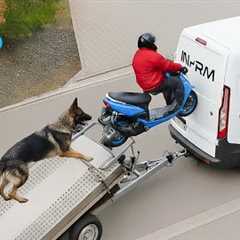 Try Not To Laugh 🤣 Top 100 Funniest Videos Ever 😂 | Funny Videos Compilation 2025 #6