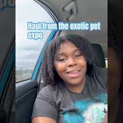 We went to the exotic pet expo #exoticpet #snakes #fun #exhibition