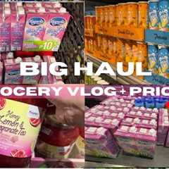 RELAXING ASMR | Grocery Vlog Ph | Realistic grocery shopping @ Landers | monthly essentials