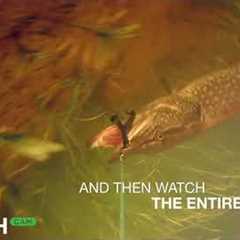 GoFish Cam - The Most Popular Wireless Underwater Fishing Camera