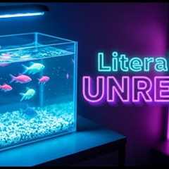 5 Best Fish Tanks Perfect for the BEGINNERS in 2025