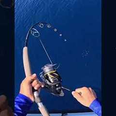 Scary 🥶 would you ever want to experience this?