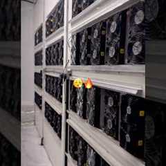 Stop trading—Start mining. Welcome to the next level of crypto. #datacenter #crypto #mining