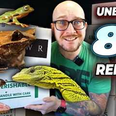 Unboxing 80 Pet Reptiles