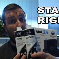 The Ultimate Guide to Freshwater Fish Tanks (START HERE!)