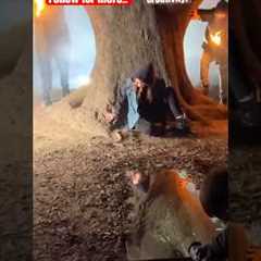 Mirror Photography Hacks: Unleash Creativity!