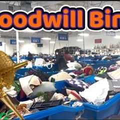 Let’s Go Shopping at the Goodwill Bins | Thrifting for Vintage to Resell | Spent $23 Today