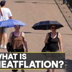 WION Climate Tracker | Climate change affects global food production