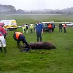 Ballinrobe,races' accident
