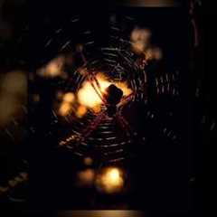 Creative Photography | Tips & Tricks with Phone using Pro Mode 📸 | Mobile Photography Hacks 🔥