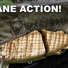 Making a Trout Wake Bait - Lure Build