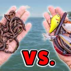 Live Bait & Artificial Lures… Which One Is Best?