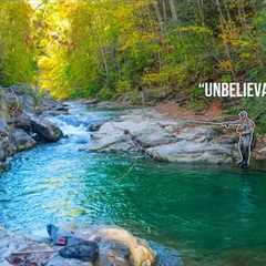 My Craziest Brown Trout Catch EVER! (Fly Fishing for BIG Trout)