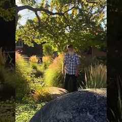 Xeriscape Done Right! #landscape #design #gardening #education #xeriscape #thejamesbattonshow