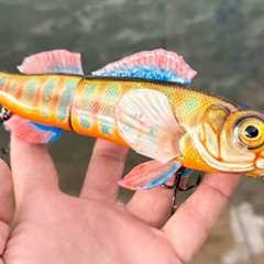 Making a Cherokee Darter Lure | World Record Size