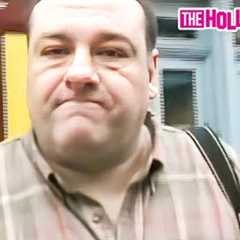 James Gandolfini Aka 'Tony Soprano' Attacks Paparazzi For Filming Him Trick Or Treating With His Son