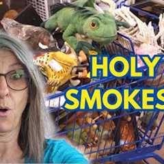 Did I Just Find a Real Treasure at the Goodwill Thrift Store?