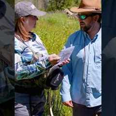 Confessions of a Fly Fishing Guide: What Clients Get Wrong