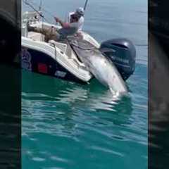 Guys are pulling a monster Bluefin Tuna into their boat!