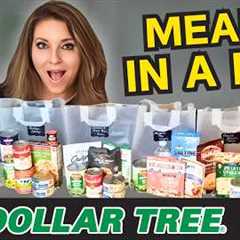 7 Dollar Tree Dinners for 50 Bucks! - Budget Prepper Pantry Survival Meals for When You're Broke -