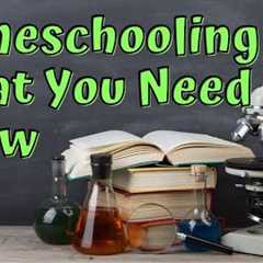 Homeschooling For Beginners: What You Need To Know About Homeschooling Programs