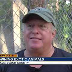 How to own dangerous, exotic animals in Florida