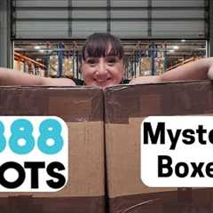 Unboxing Some Bliss Mystery Boxes From 888LOTS | Got Me A Little Confused
