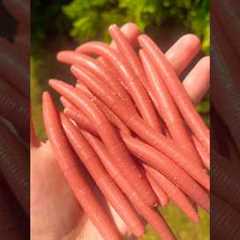 “Earthworm” 🪱 Fishing Lures!!! #handmadelure #diy #fishingbait #lures #fishing #bassfishing