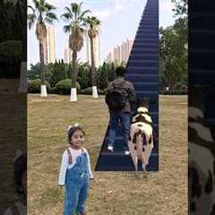 Funny Travel Video l ✈️️3D Animation| #shorts #viral