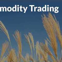 How Commodity Market works