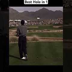 Tiger Woods Best Hole in 1
