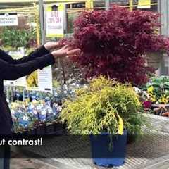 Landscaping Design Basics