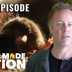 The Five-Day Race to Renovate the Pink Door & Mouse Houses (S1, E8) | Flipping Vegas | Full Ep