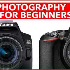 25 Cool Photography Tips for Beginners - How to get better photos from your digital camera